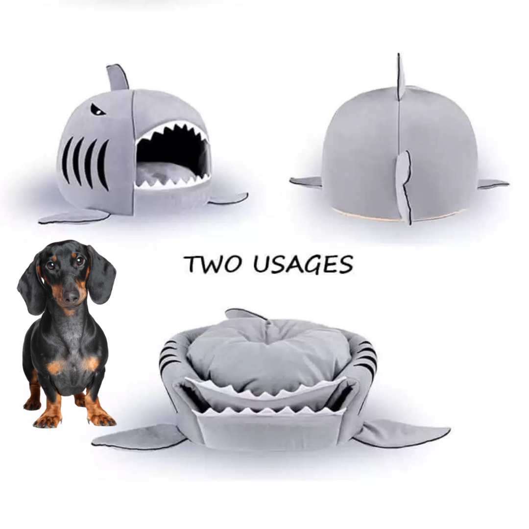 www.doxie.us-Doxie-Shark-Bed-Unique-Shark-Design-for-Ultimate-Dachshund-Comfort