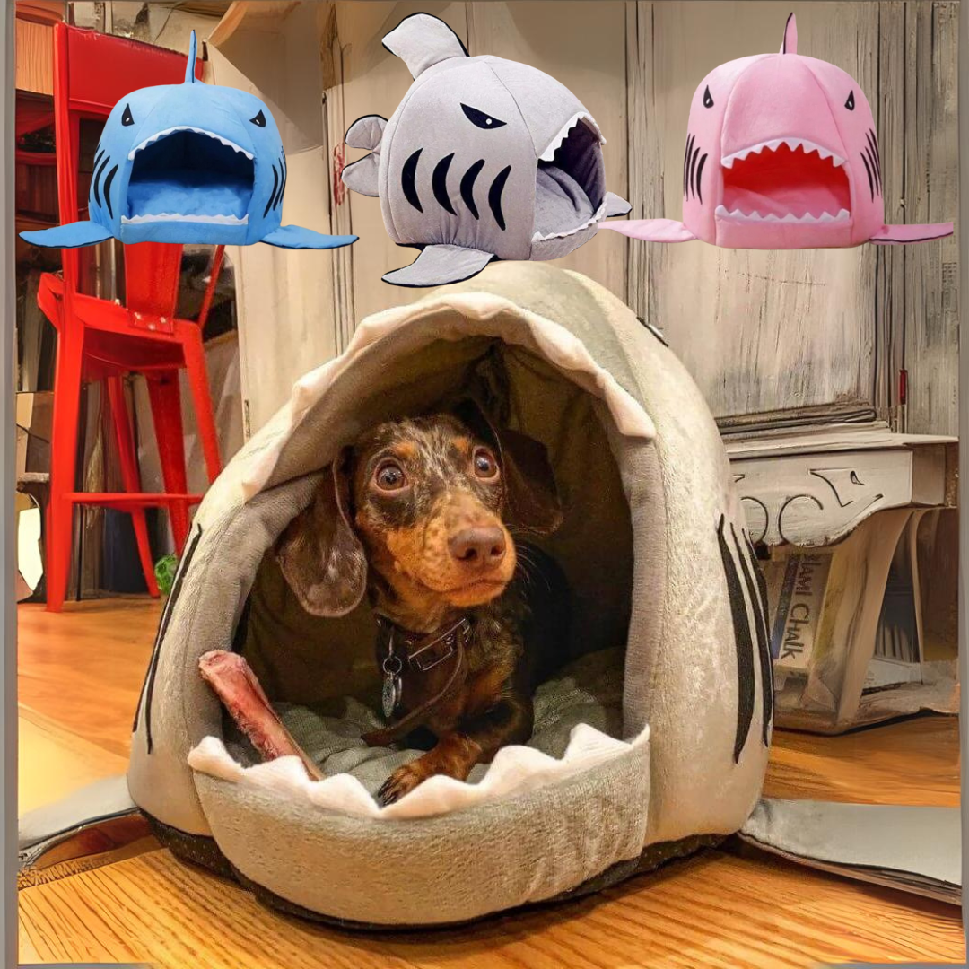 www.doxie.us-Doxie-Shark-Bed-Unique-Shark-Design-for-Ultimate-Dachshund-Comfort