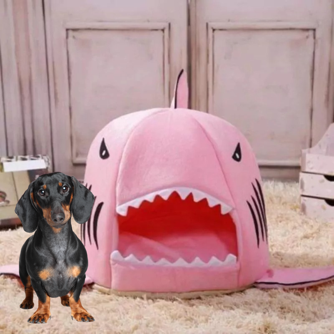 www.doxie.us-Doxie-Shark-Bed-Unique-Shark-Design-for-Ultimate-Dachshund-Comfort