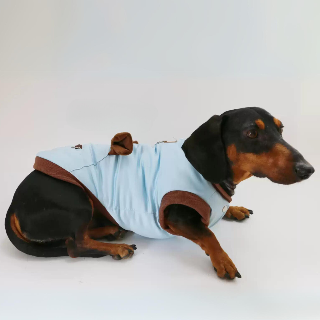 www.doxie.us-Elegant-Dachshund-Jacket-Cozy-and-Stylish-Doxie-Winter-Coat