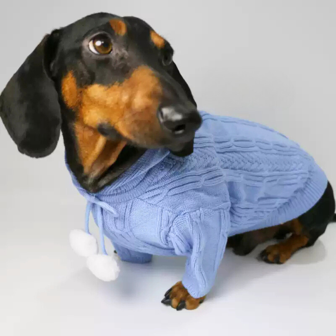 www.doxie.us-HoodPup-Dachshund-Two-Legged-Hooded-Sweater