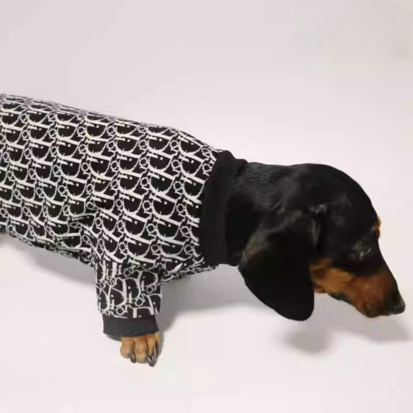 www.doxie.us-Luxurious-Dachshund-Knitted-Sweater