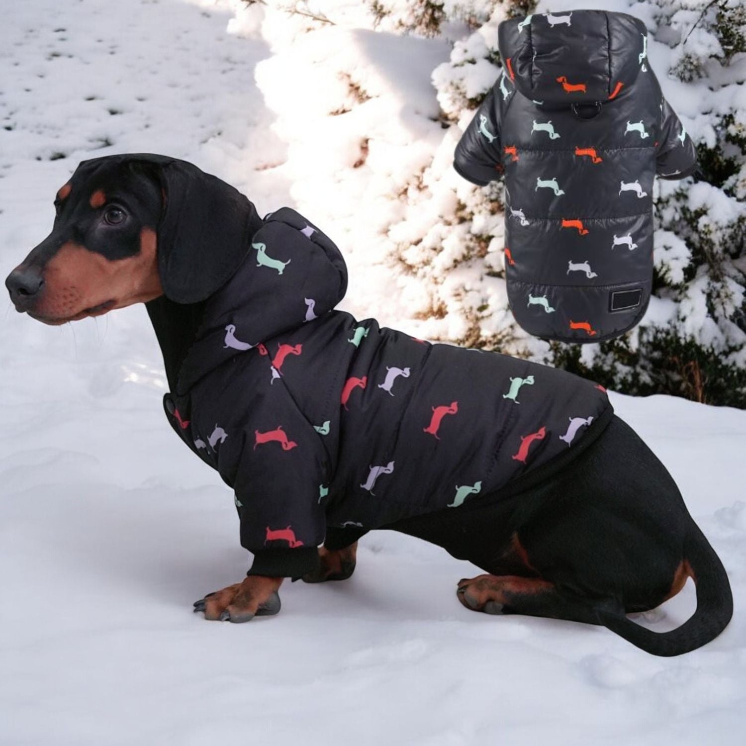 www.doxie.us-Luxurious-Hooded-Dachshund-Coat-black