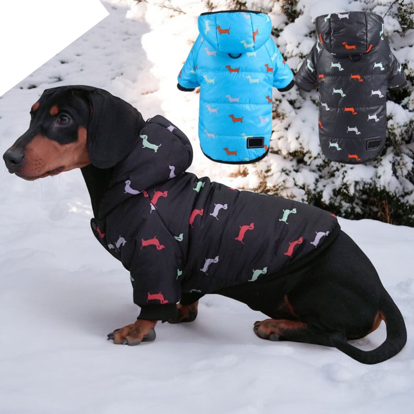 www.doxie.us-Luxurious-Hooded-Dachshund-Coat