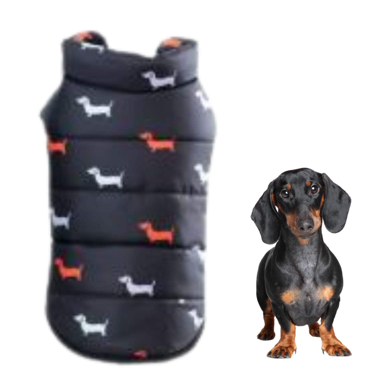 www.doxie.us-NexaLeaf-Warm-Puffer-Jacket-for-Dachshunds