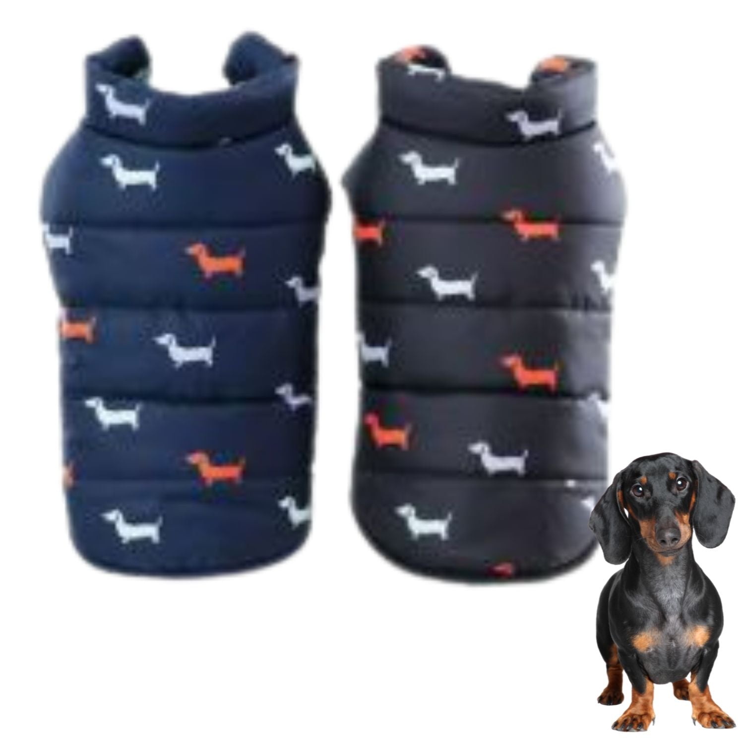 www.doxie.us-NexaLeaf-Warm-Puffer-Jacket-for-Dachshunds