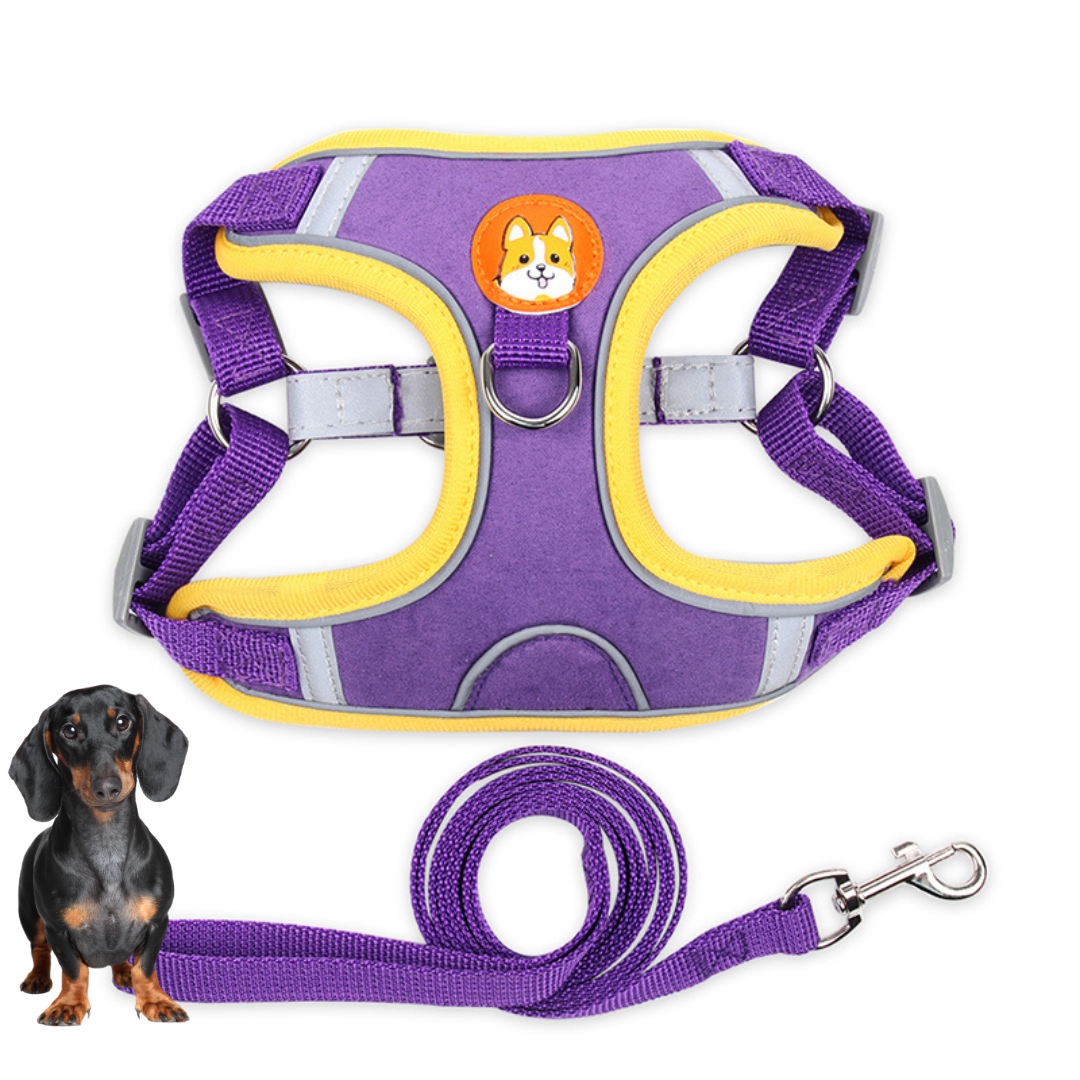 www.doxie.us-PawStride-Doxie-Reflective-Harness-&-Leash