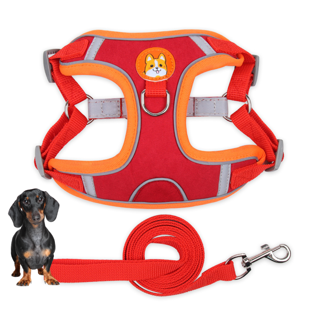 www.doxie.us-PawStride-Doxie-Reflective-Harness-&-Leash