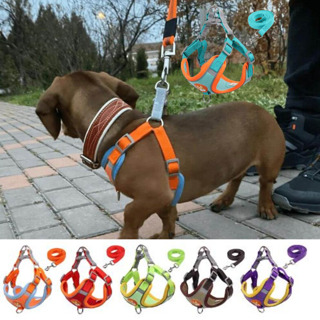 www.doxie.us-PawStride-Doxie-Reflective-Harness-&-Leash