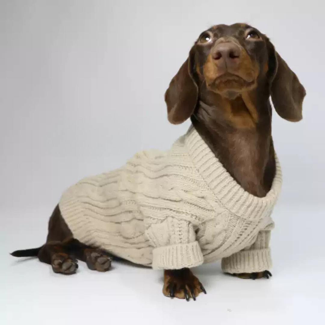 www.doxie.us-Premium-Cable-Knit-Dachshund-Sweater