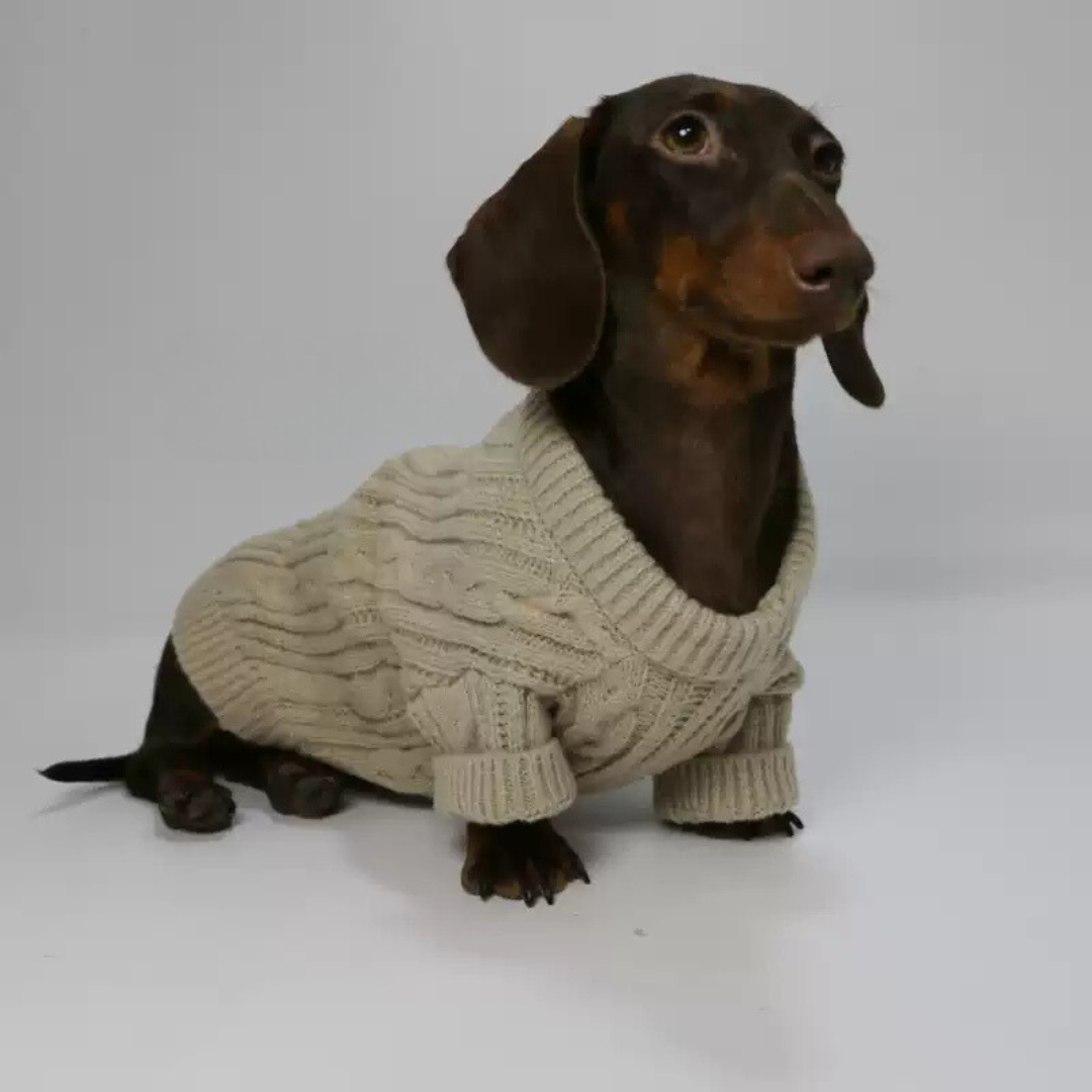 www.doxie.us-Premium-Cable-Knit-Dachshund-Sweater