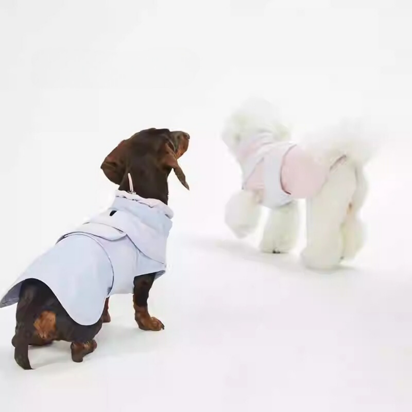 www.doxie.us-Premium-Dachshund-Coat-Lightweight-Pastel-Doxie-Jacket