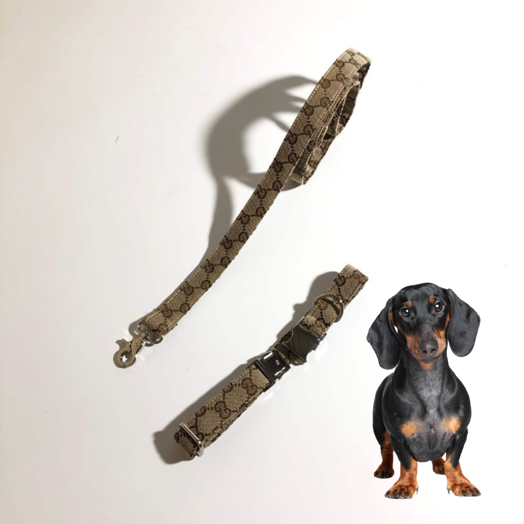 www.doxie.us-Premium-Dachshund-Collar-and-Leash-Set