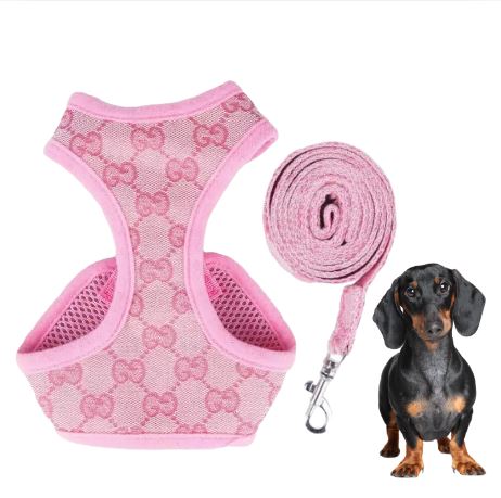 www.doxie.us-Premium-Dachshund-Harness-and-Leash-Set