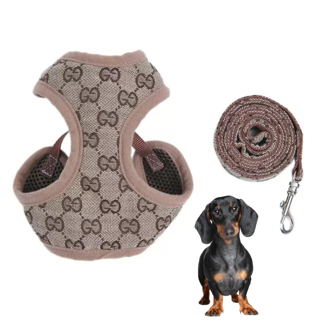 www.doxie.us-Premium-Dachshund-Harness-and-Leash-Set