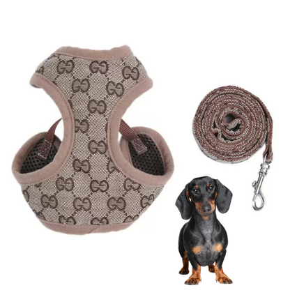 Padded dachshund harness and leash set, view 4