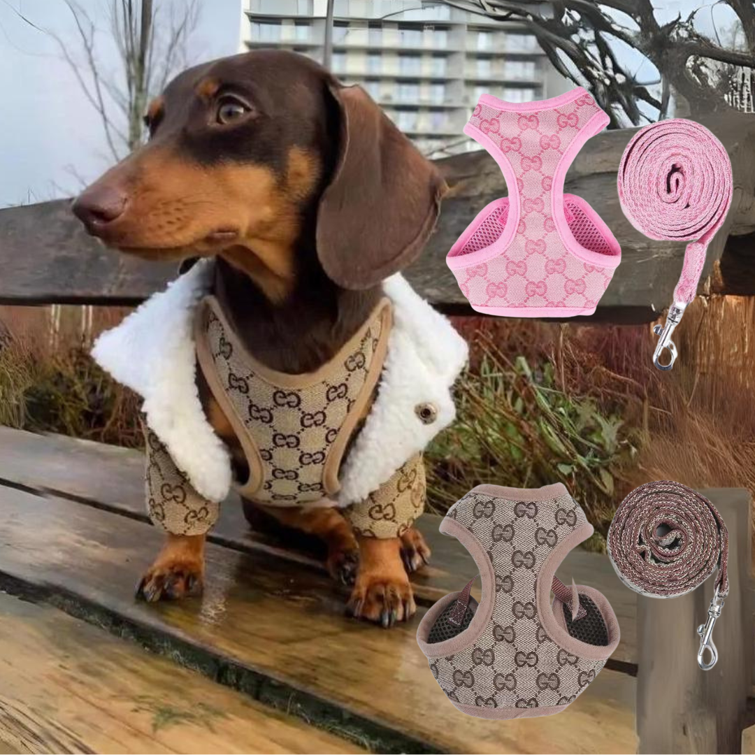 www.doxie.us-Premium-Dachshund-Harness-and-Leash-Set