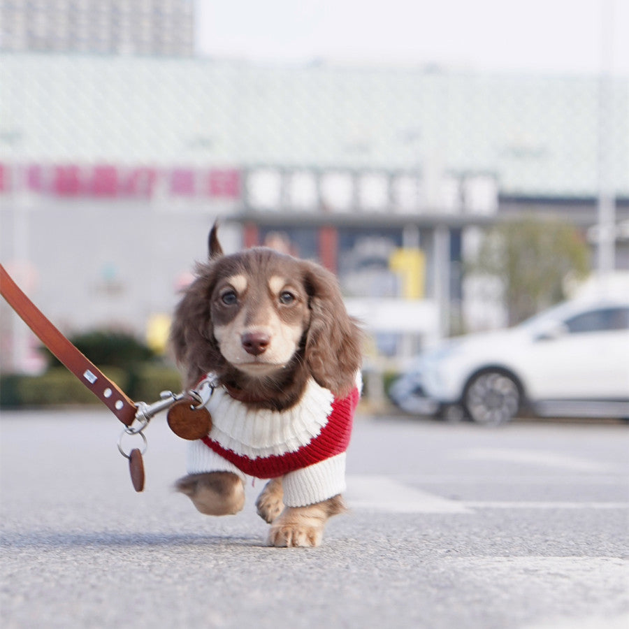 www.doxie.us-Premium-Dachshund-Sweater-Comfortable-and-Durable