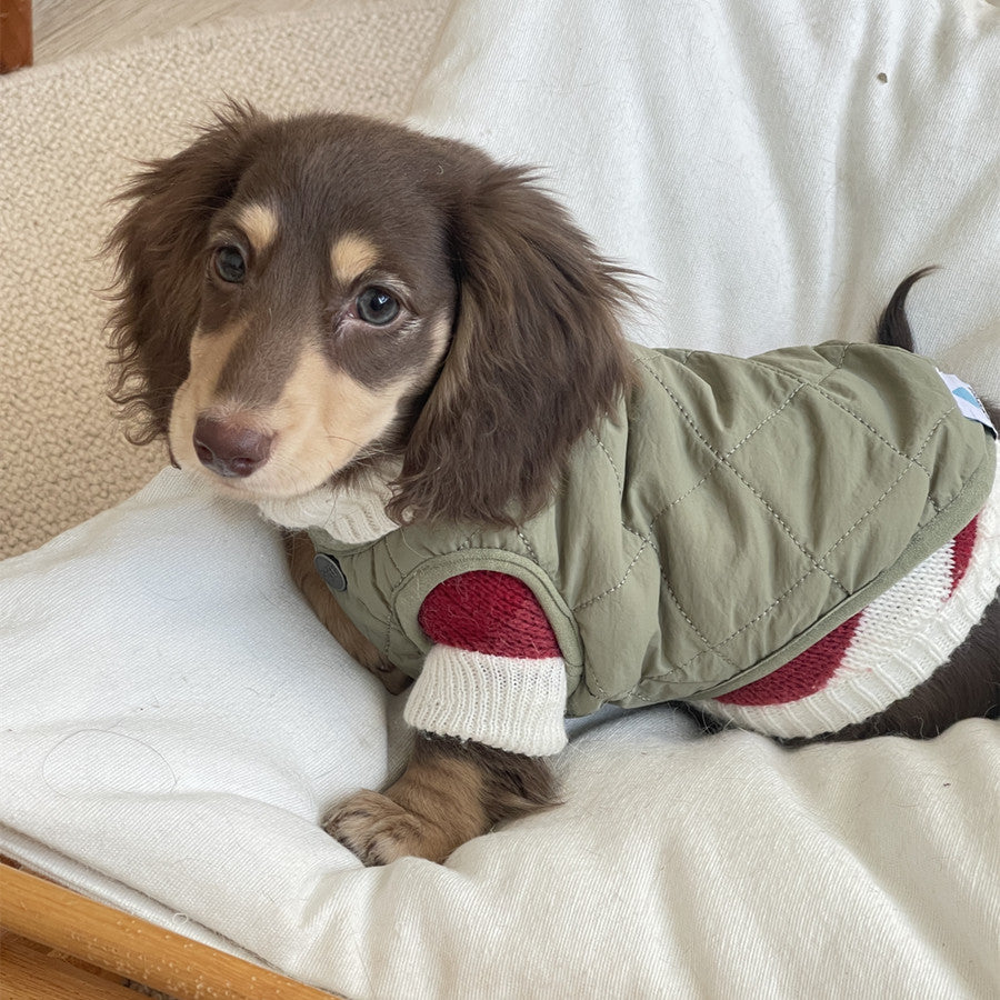 www.doxie.us-Premium-Dachshund-Sweater-Comfortable-and-Durable