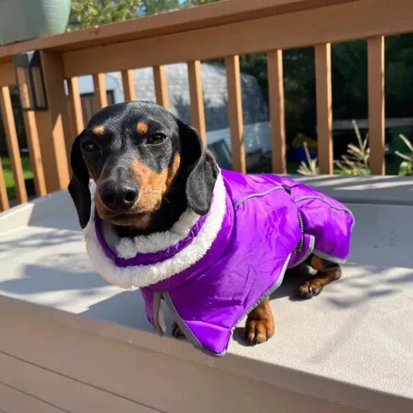 www.doxie.us-Premium-Fleece-Dachshund-Coat