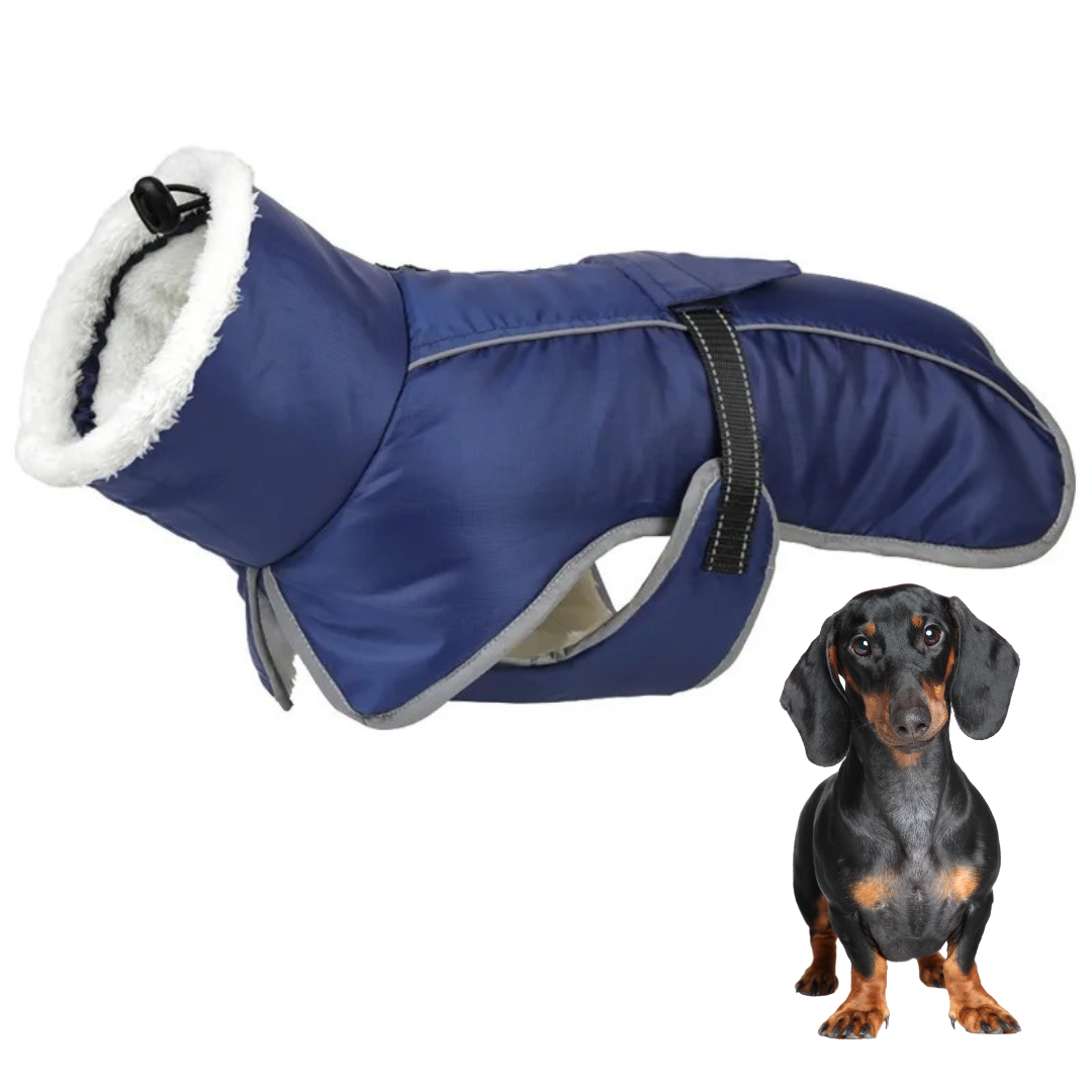 www.doxie.us-Premium-Fleece-Dachshund-Coat