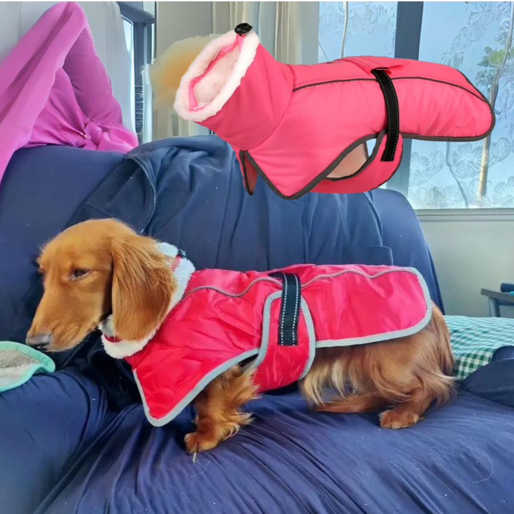 www.doxie.us-Premium-Fleece-Dachshund-Coat