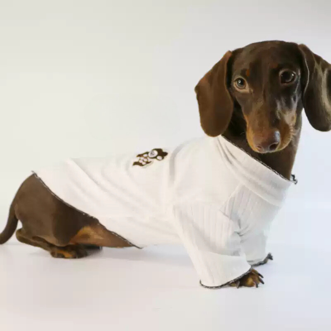 www.doxie.us-Premium-White-Ribbed Sweater-for-Dachshunds