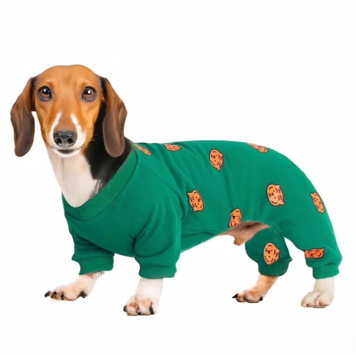 www.doxie.us-Pumpkin-Patch-Dachshund-Pajamas