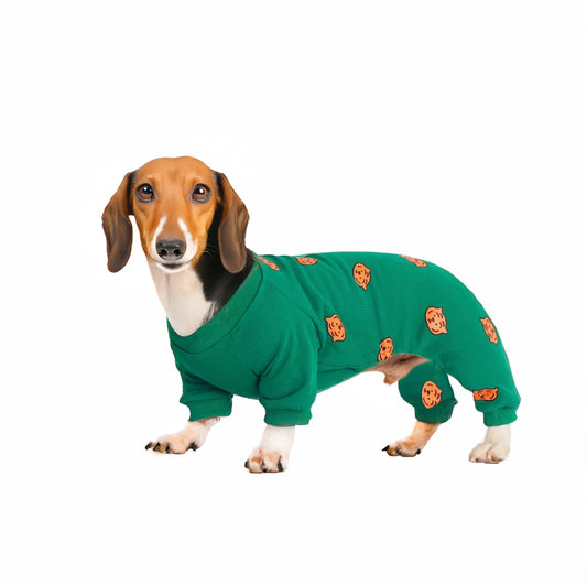 www.doxie.us-Pumpkin-Patch-Dachshund-Pajamas