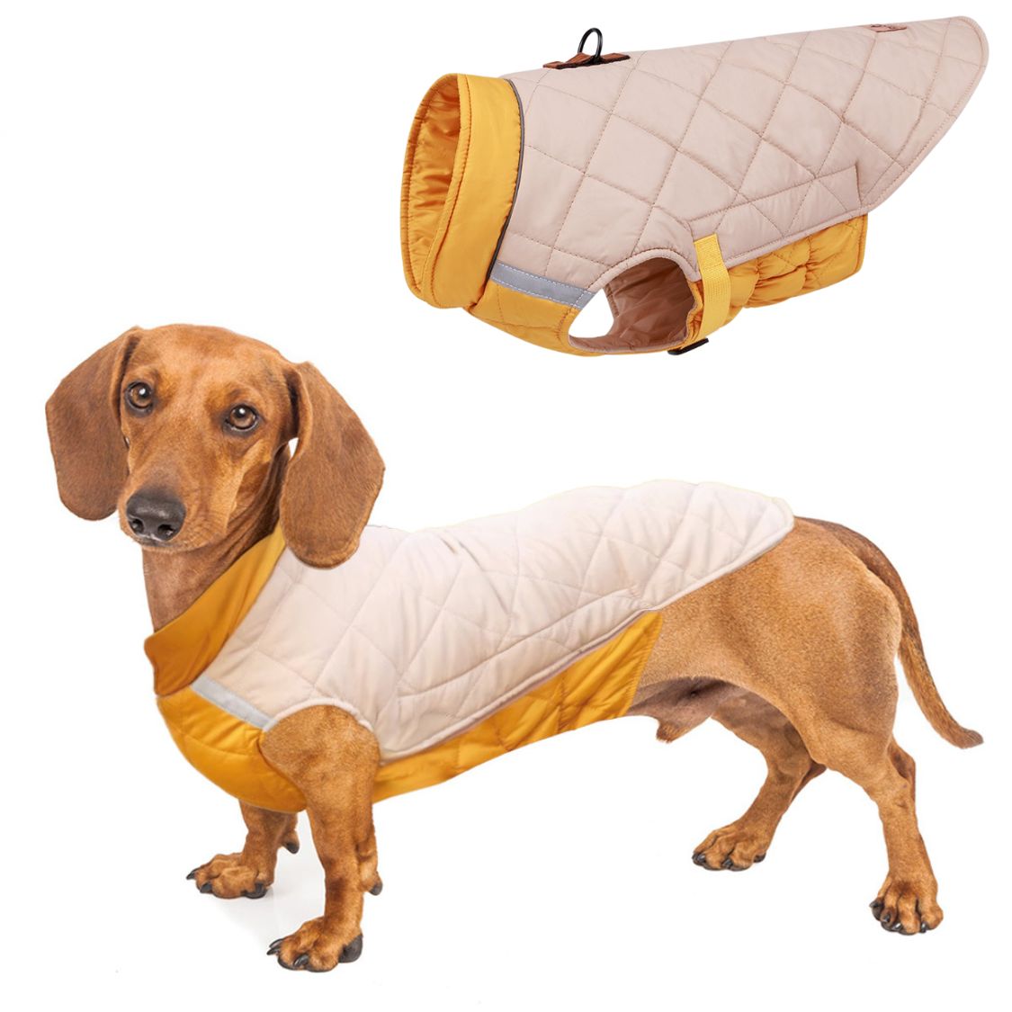 www.doxie.us-Reflective-Quilted-Dachshund-Coat-with-Safety-Leash-Ring-beige