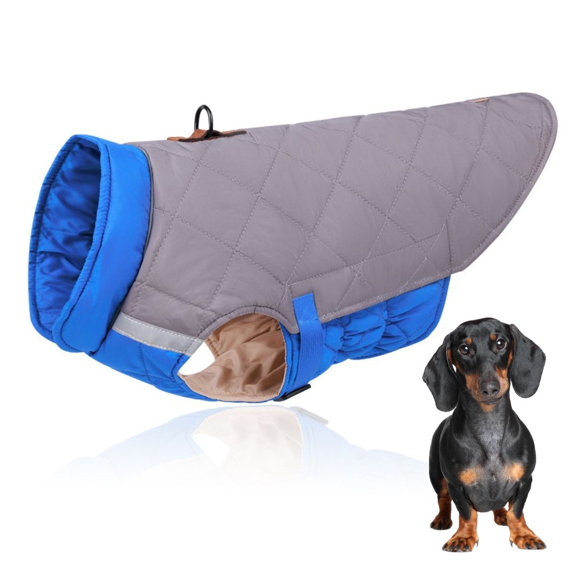 www.doxie.us-Reflective-Quilted-Dachshund-Coat-with-Safety-Leash-Ring-blue