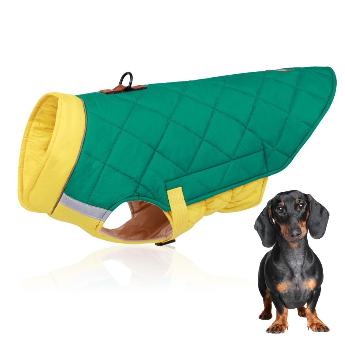 www.doxie.us-Reflective-Quilted-Dachshund-Coat-with-Safety-Leash-Ring-green