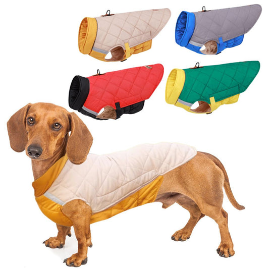 www.doxie.us-Reflective-Quilted-Dachshund-Coat-with-Safety-Leash-Ring