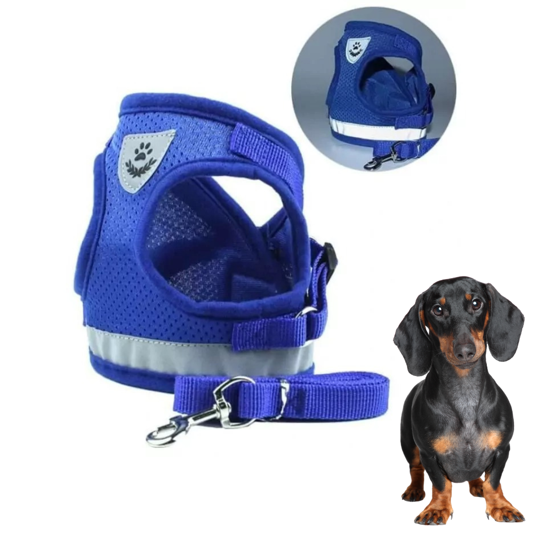 www.doxie.us-ShinePup-Dachshund-Reflective-Harness-with-Leash