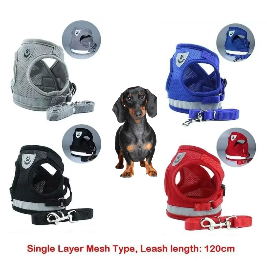 www.doxie.us-ShinePup-Dachshund-Reflective-Harness-with-Leash