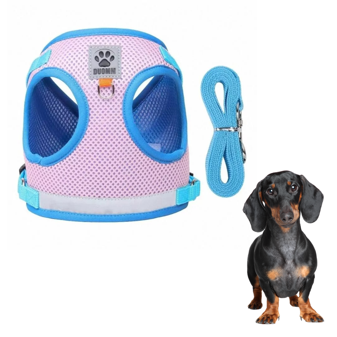 www.doxie.us-ShinePup-Dachshund-Reflective-Harness-with-Leash