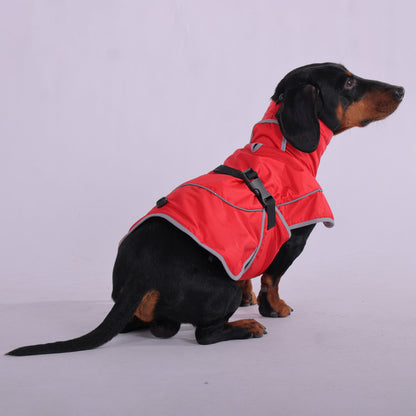 StormSafe waterproof winter jacket for dachshunds, view 3
