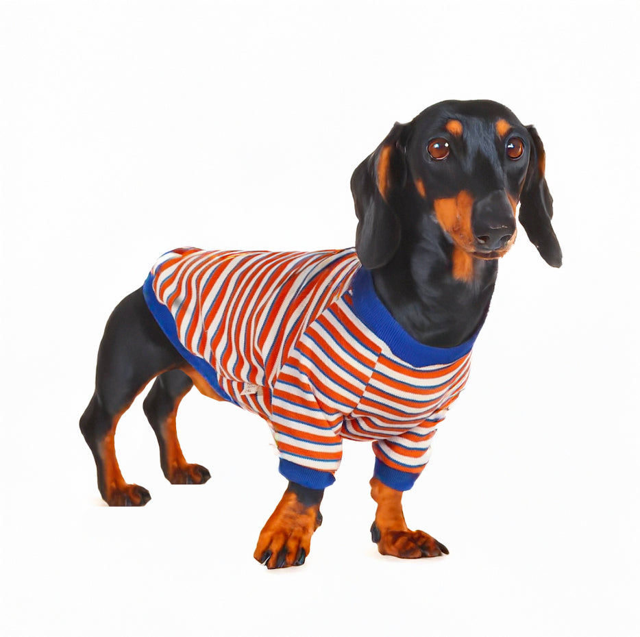 www.doxie.us-Striped-Dachshund-Sweater