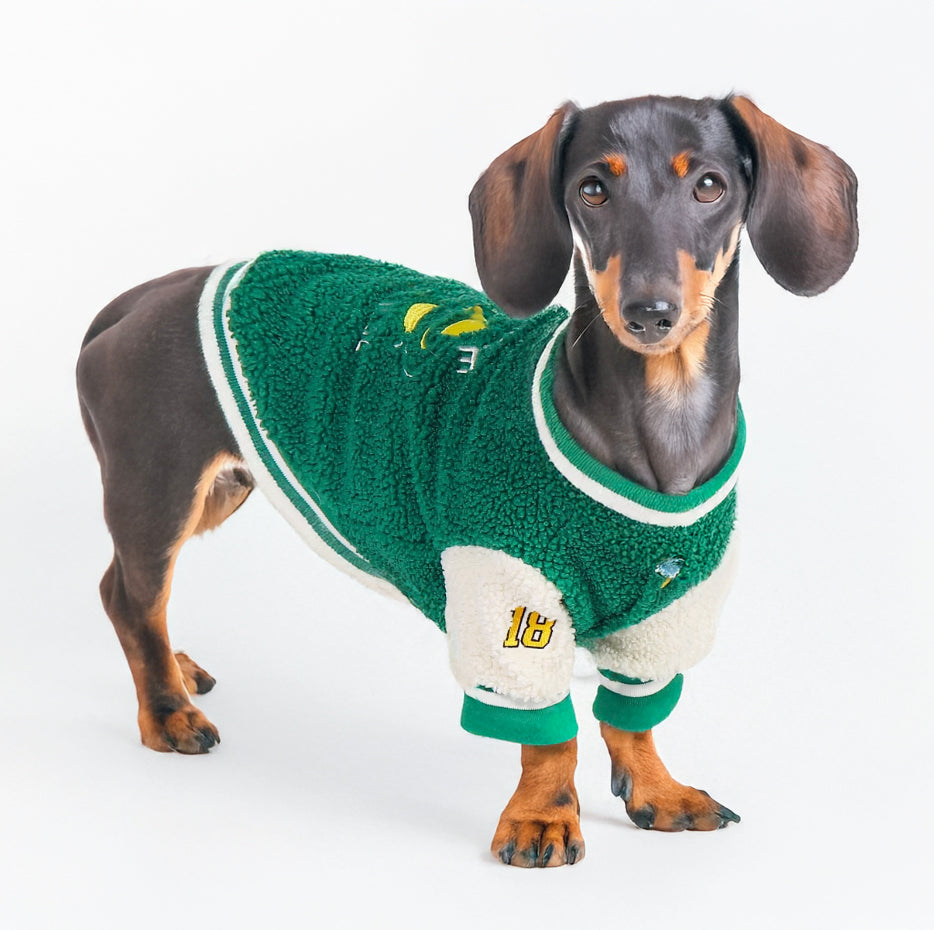 www.doxie.us-Stylish-Cotton-Padded-Dachshund-Sweater