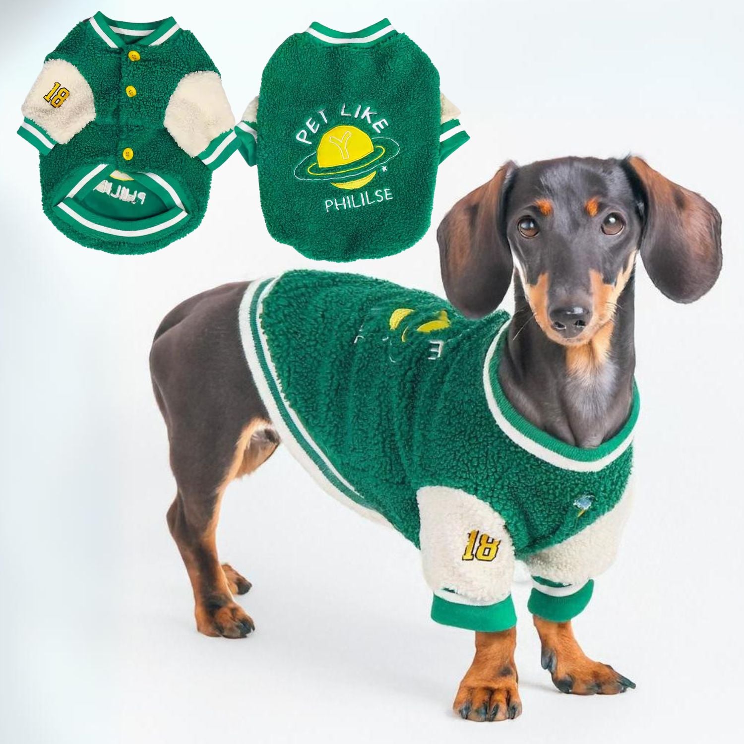 www.doxie.us-Stylish-Cotton-Padded-Dachshund-Sweater