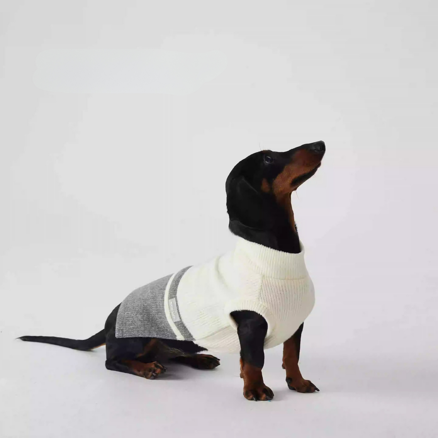 www.doxie.us-Stylish-Dachshund-Sweater-Cozy-Two-Tone-Bottoming-Doxie-Shirt