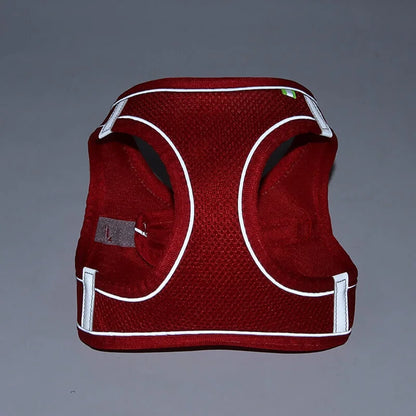 www.doxie.us-TailTribe-Dachshund-Reflective-Harness-and-Leash