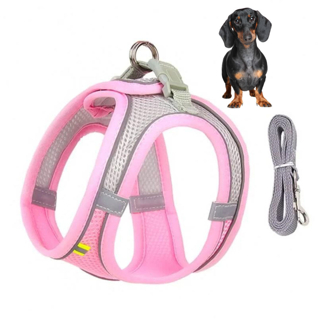 www.doxie.us-TailTribe-Dachshund-Reflective-Harness-and-Leash