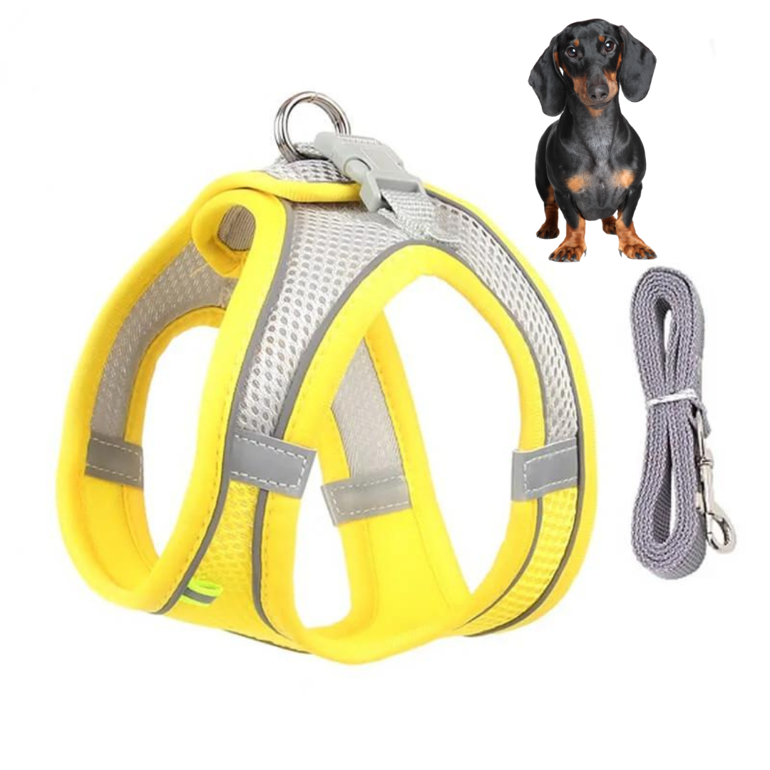 www.doxie.us-TailTribe-Dachshund-Reflective-Harness-and-Leash