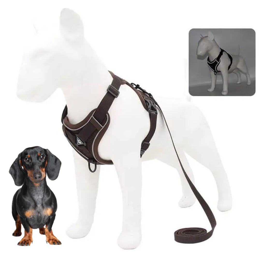 www.doxie.us-WagFree-No-Pull-Doxie-Harness-and-Leash-Set