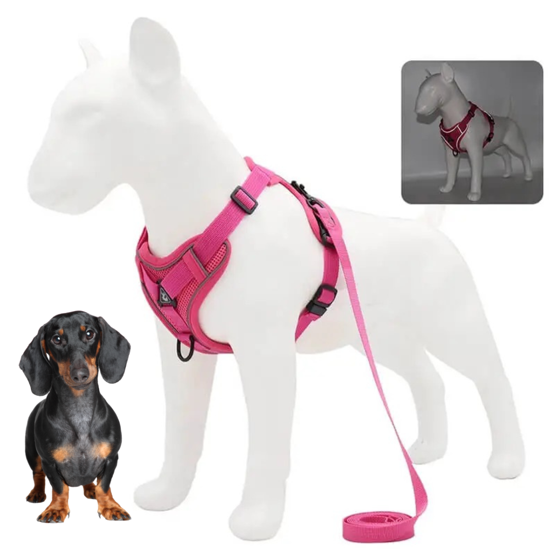 www.doxie.us-WagFree-No-Pull-Doxie-Harness-and-Leash-Set