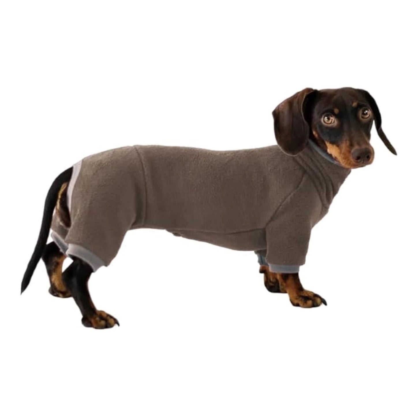 www.doxie.us-Winter-Dachshund-Sweater–Fleece-Coat-for-Doxie