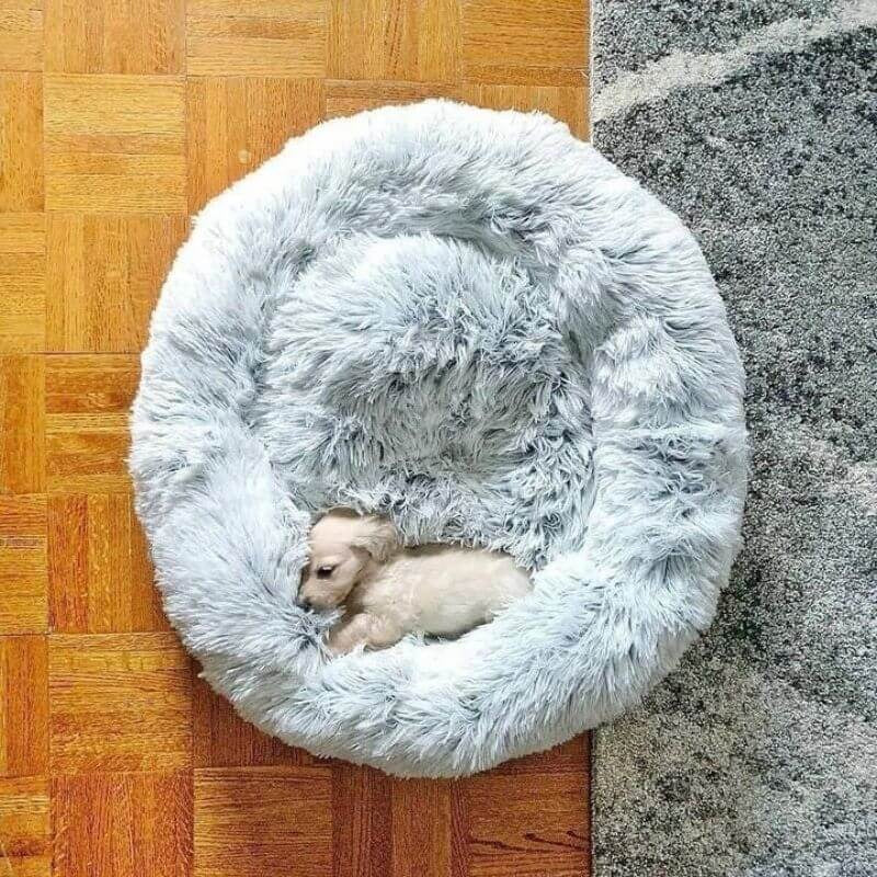 www.doxie.us-WoofLuxe-Dachshund-Donut-Bed