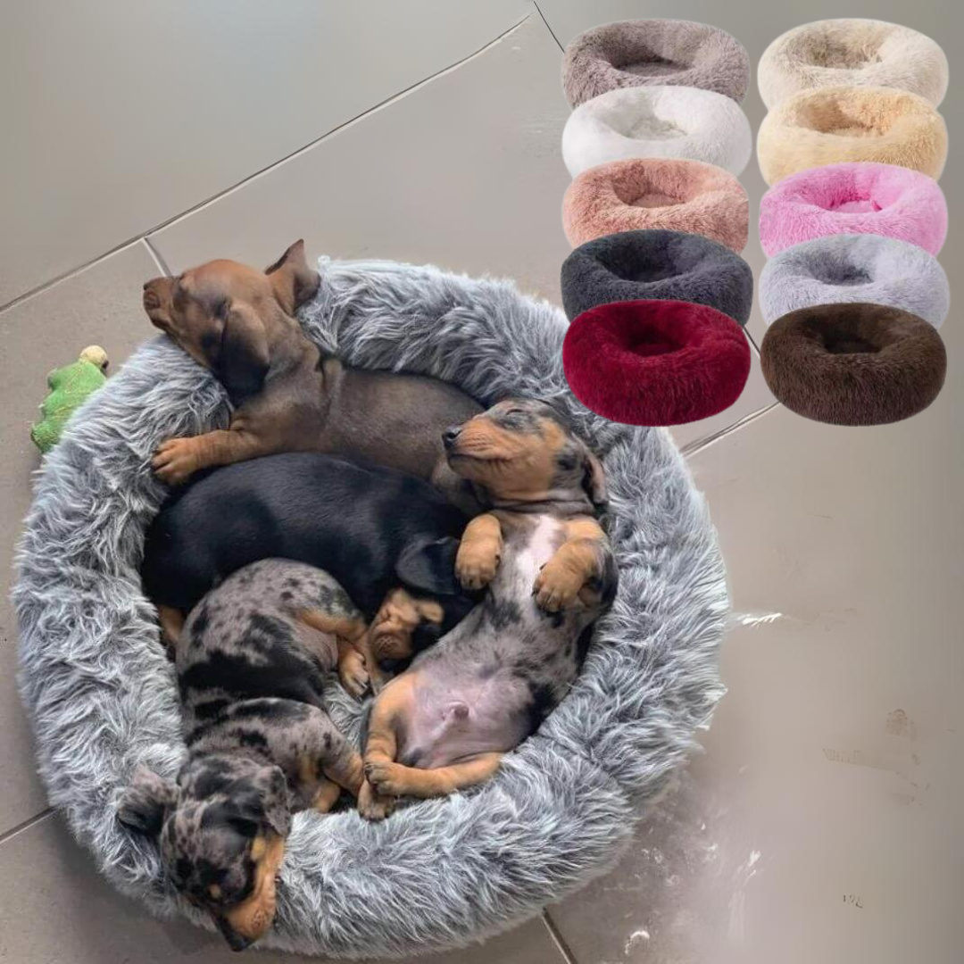 www.doxie.us-WoofLuxe-Dachshund-Donut-Bed