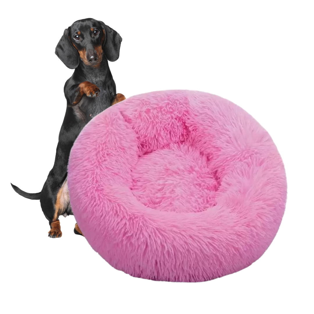 www.doxie.us-WoofLuxe-Dachshund-Donut-Bed